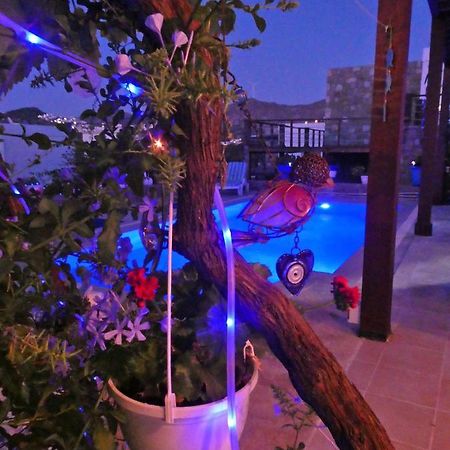 Villa Priene - Gumusluk Private Pool 外观 照片