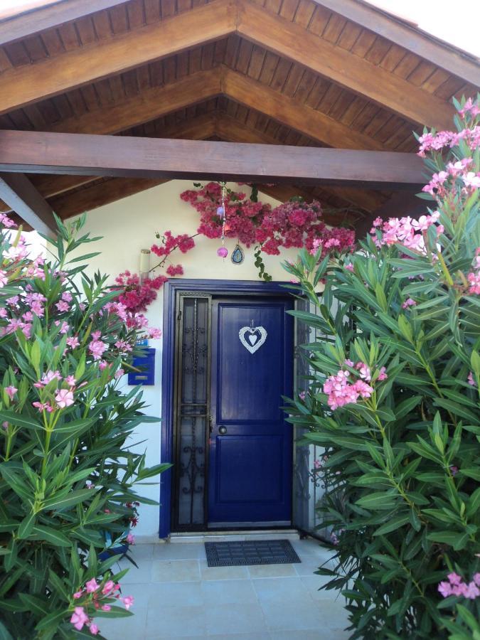 Villa Priene - Gumusluk Private Pool 外观 照片