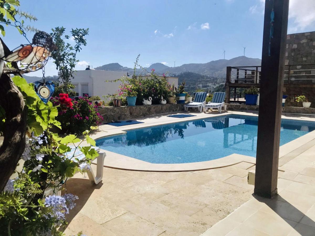 Villa Priene - Gumusluk Private Pool 外观 照片
