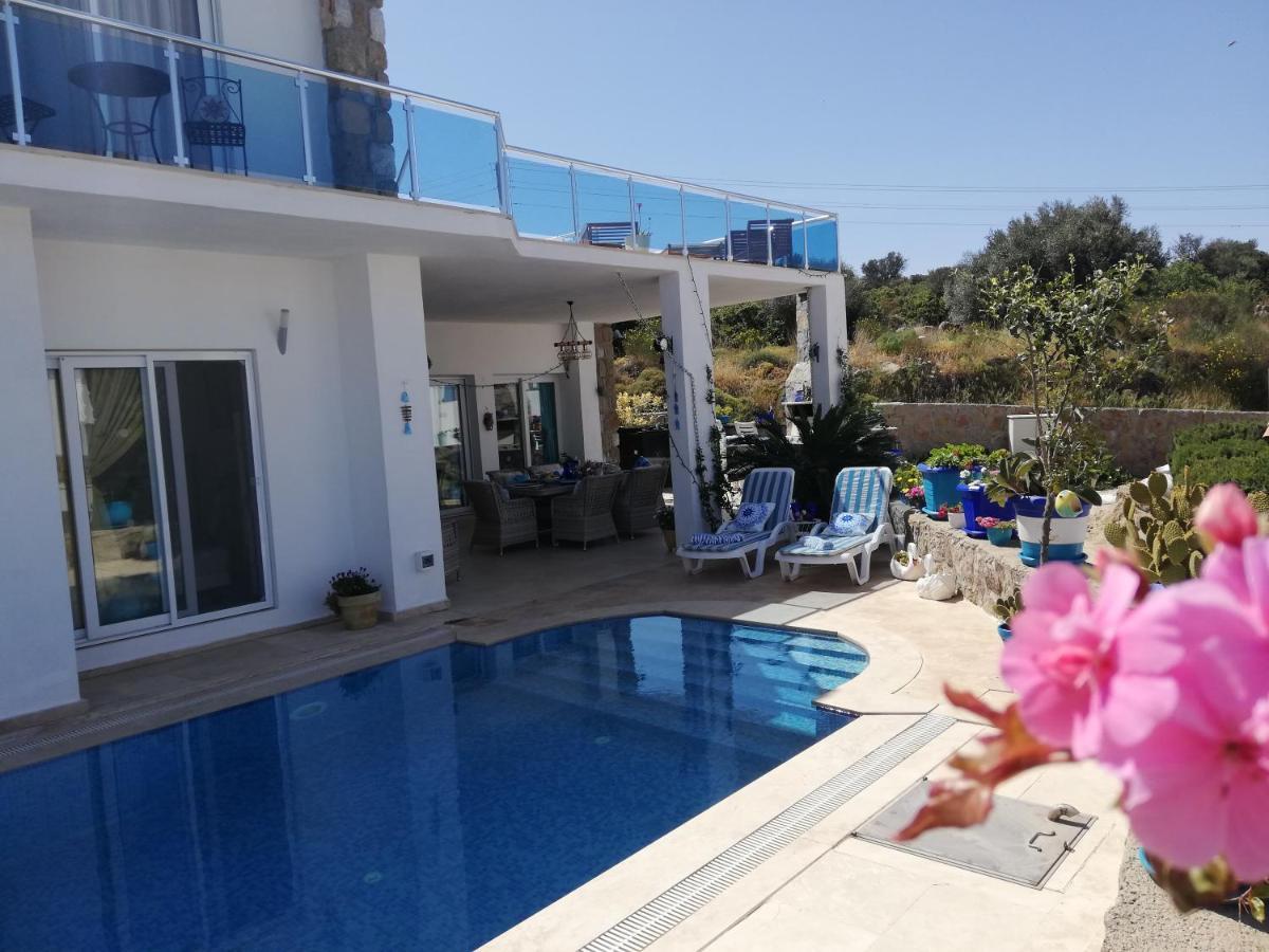Villa Priene - Gumusluk Private Pool 外观 照片