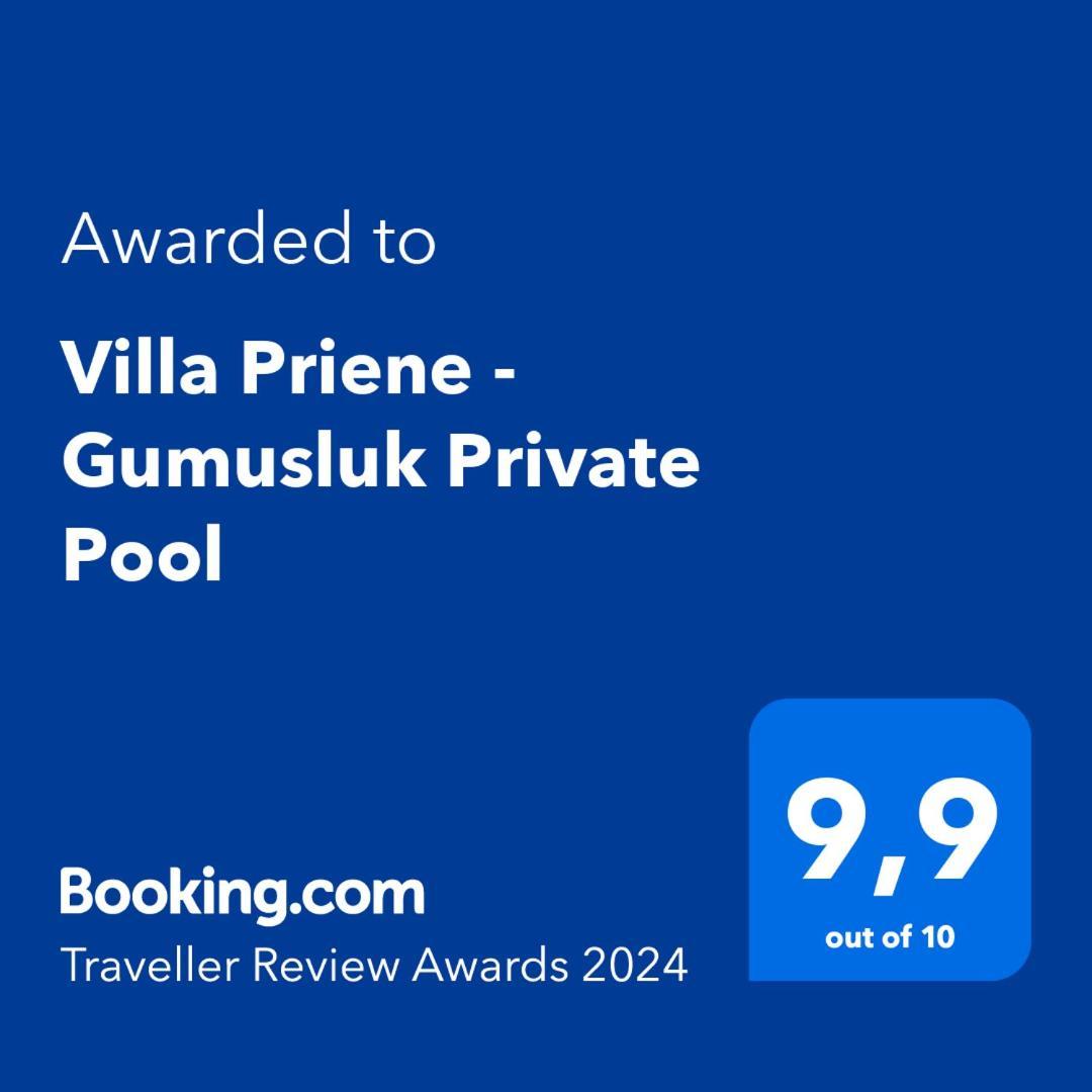 Villa Priene - Gumusluk Private Pool 外观 照片